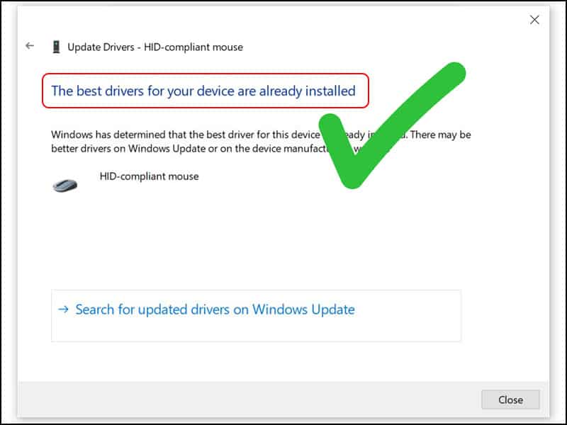 Cập nhật driver ổ cứng ngoài để đảm bảo nhận diện chính xác Cập nhật driver mới cho ổ cứng ngoài trên máy