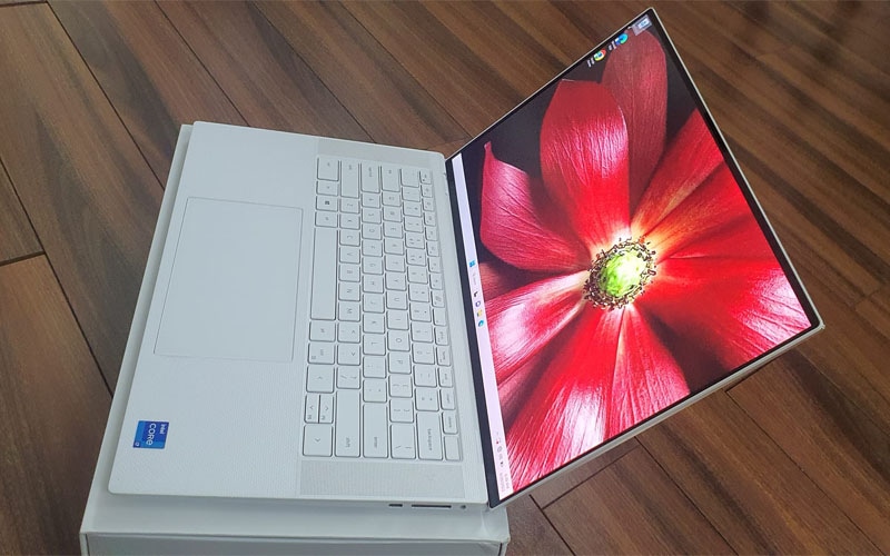 Laptop cho sinh viên kinh tế: lựa chọn thông minh để học tập và làm việc